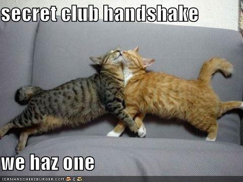 cats-secret-handshake cats-secret-handshake