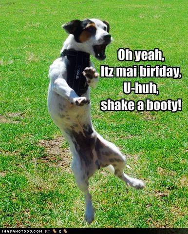 dog-dance-on-birthday