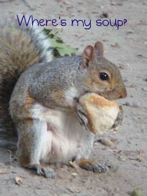 squirrel-and-bread