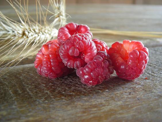 summer raspberries 010