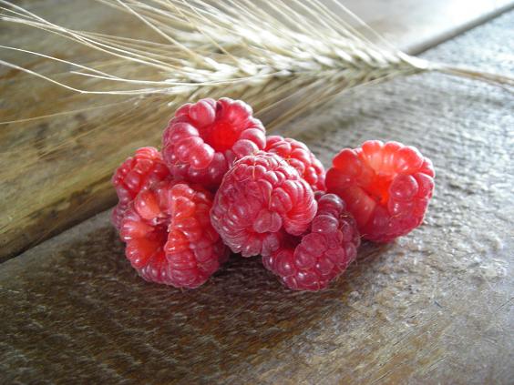 summer raspberries 013