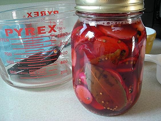 pickled radishes 013