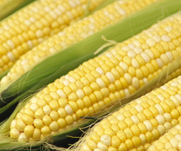 sweetcorn