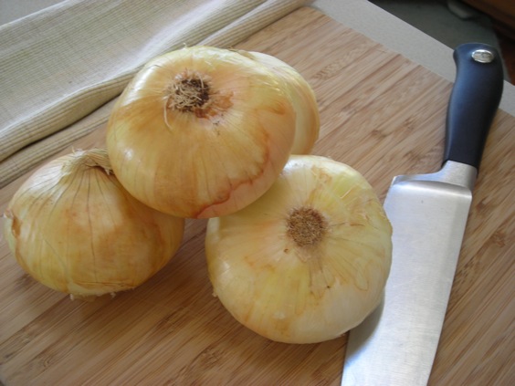 caramelized onion and pesto flatbread6820